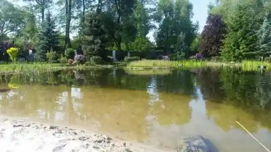 Uima-altaiden suunnittelu – Koristealtaat